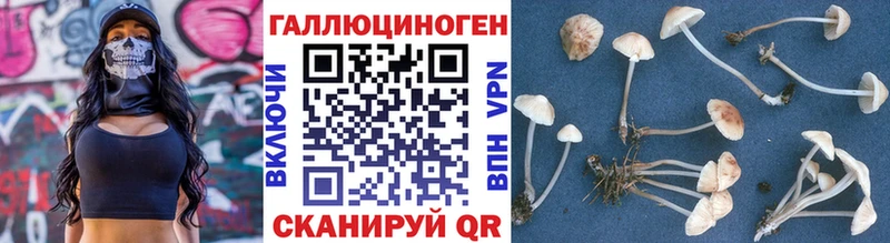 Галлюциногенные грибы MAGIC MUSHROOMS  цена наркотик  Уфа 
